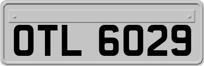 OTL6029