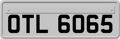 OTL6065