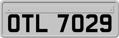 OTL7029