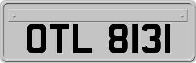 OTL8131