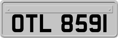 OTL8591