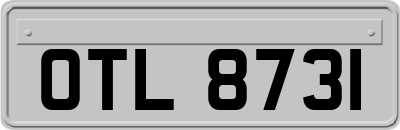 OTL8731