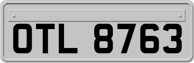 OTL8763