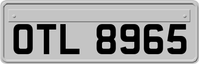 OTL8965