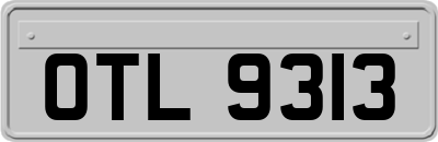OTL9313