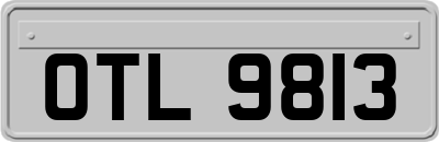 OTL9813