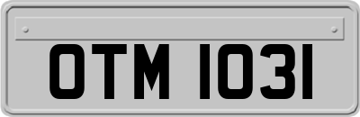 OTM1031