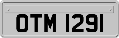 OTM1291