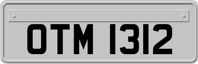OTM1312