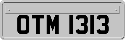 OTM1313