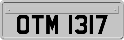 OTM1317