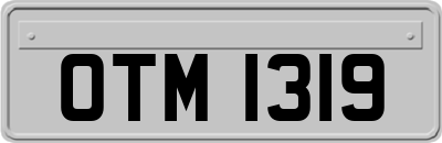 OTM1319