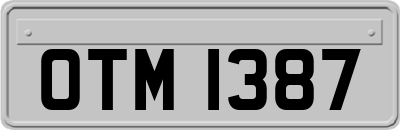 OTM1387