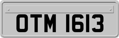 OTM1613