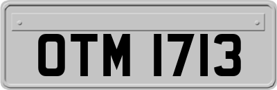 OTM1713
