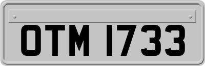 OTM1733