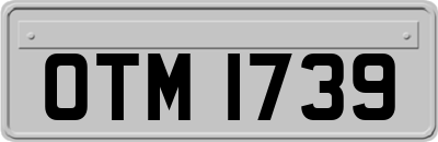 OTM1739