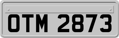 OTM2873