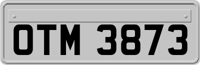 OTM3873