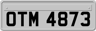 OTM4873