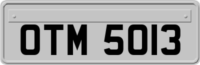 OTM5013
