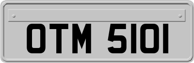 OTM5101