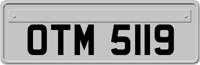 OTM5119