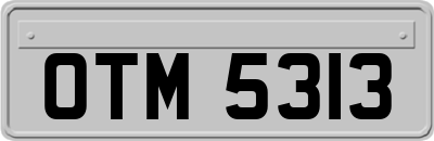 OTM5313