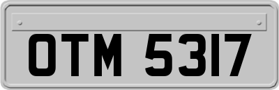 OTM5317