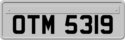 OTM5319