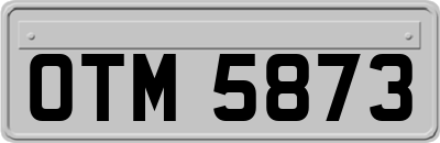 OTM5873