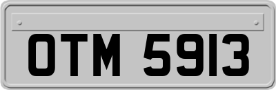 OTM5913