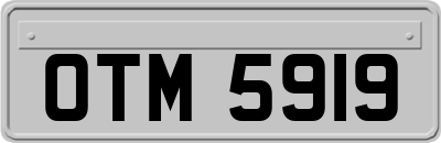OTM5919