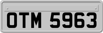 OTM5963
