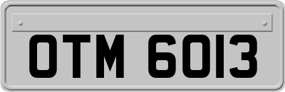 OTM6013