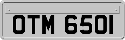 OTM6501