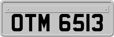 OTM6513