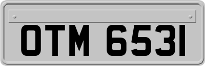 OTM6531