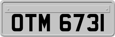 OTM6731