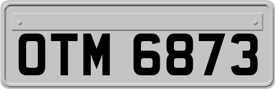OTM6873