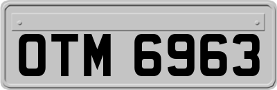 OTM6963