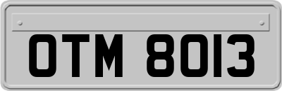 OTM8013