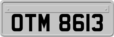OTM8613
