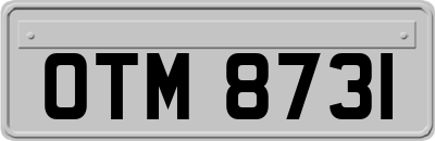 OTM8731