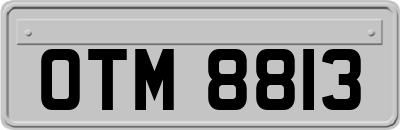 OTM8813