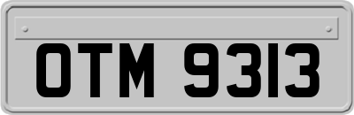 OTM9313