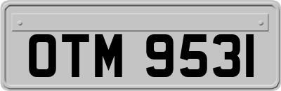 OTM9531