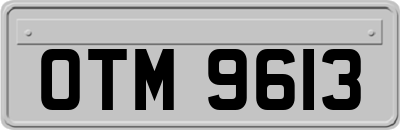 OTM9613