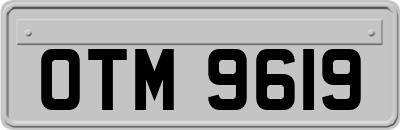 OTM9619