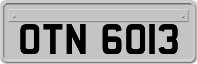 OTN6013